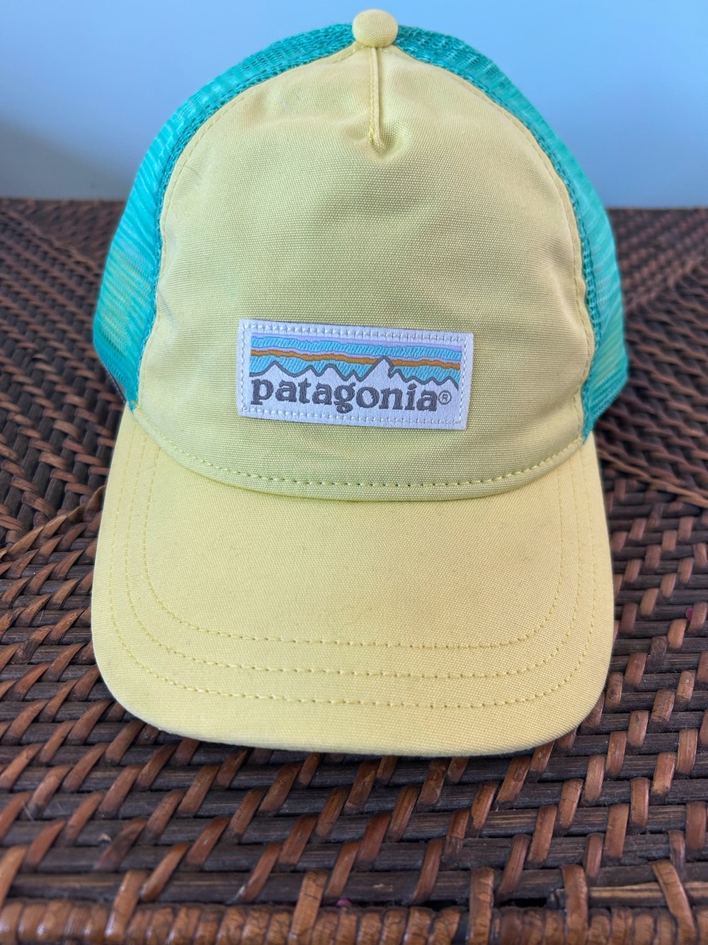 Patagonia Yellow Teal Mesh Trucker Hat OS Gorpcore Activewear